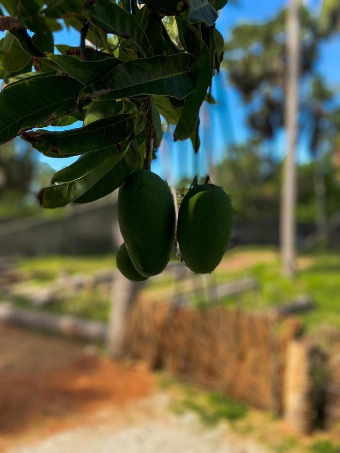 Elena Garden Resort And Restaurant Trincomalee Bagian luar foto
