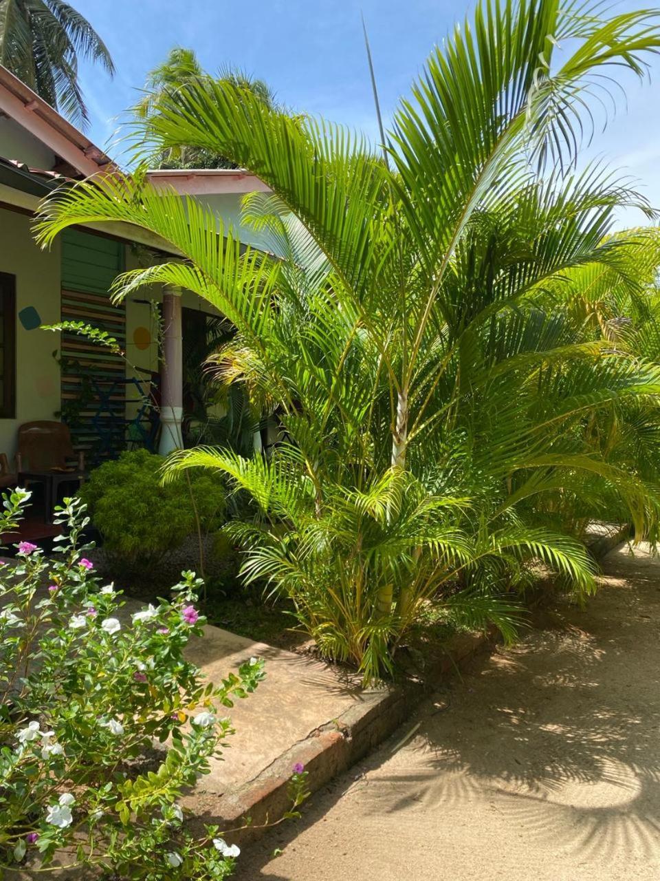 Elena Garden Resort And Restaurant Trincomalee Bagian luar foto