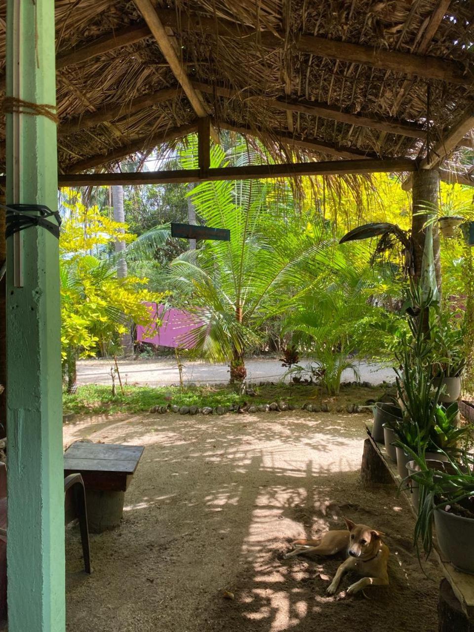 Elena Garden Resort And Restaurant Trincomalee Bagian luar foto