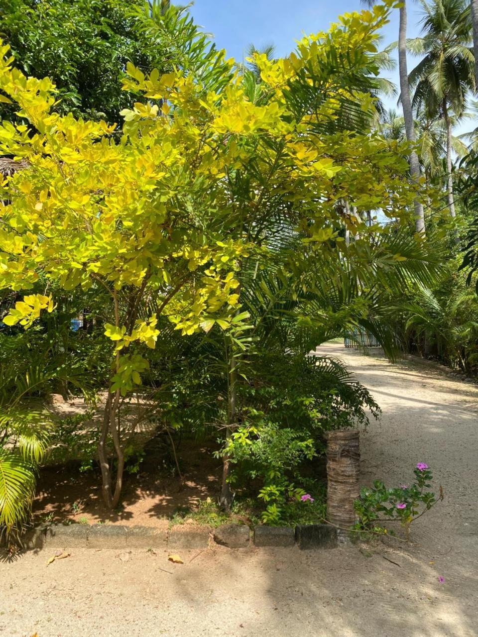 Elena Garden Resort And Restaurant Trincomalee Bagian luar foto