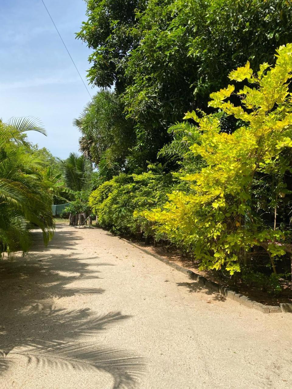 Elena Garden Resort And Restaurant Trincomalee Bagian luar foto