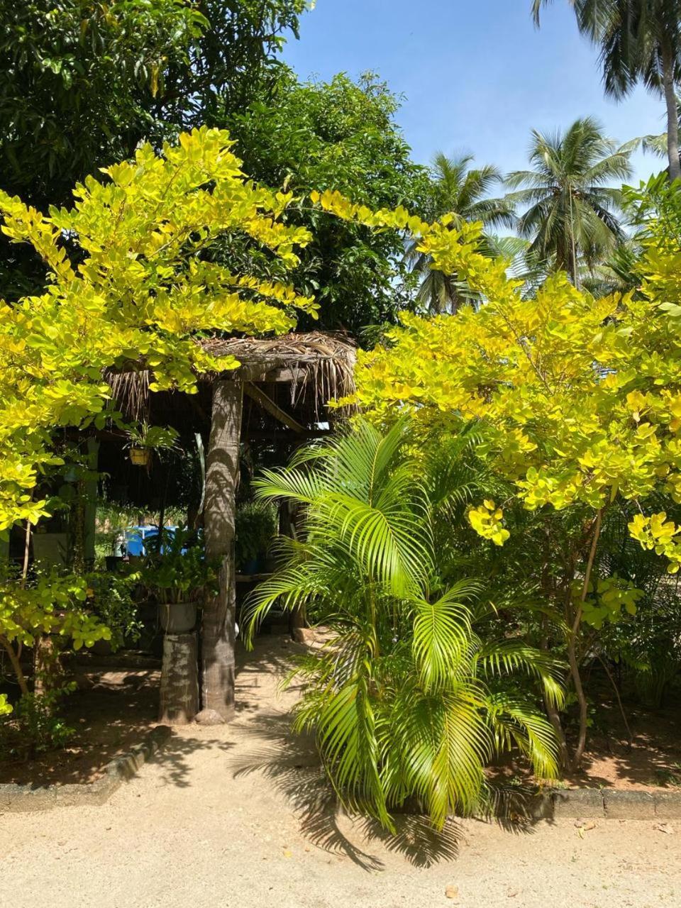 Elena Garden Resort And Restaurant Trincomalee Bagian luar foto